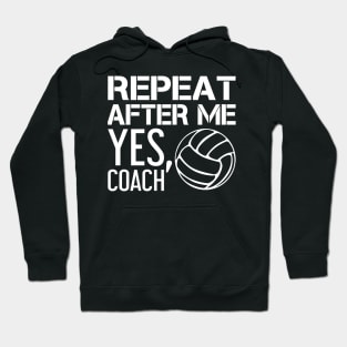 'After Me, Yes Coach' Witty Baseball Coach Gift Hoodie